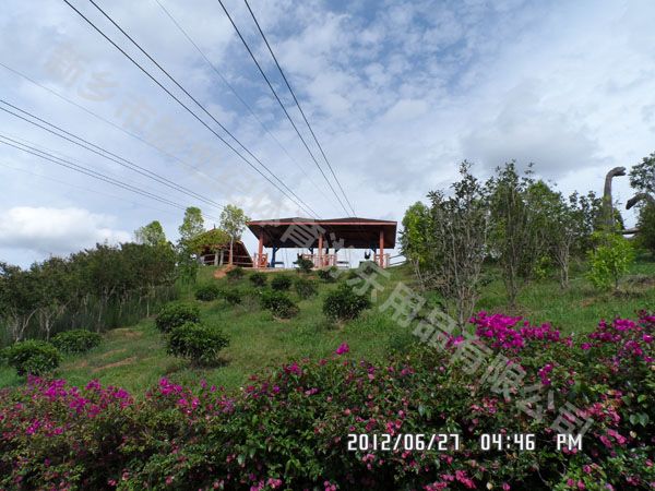 滑索成為旅游景區(qū)的新寵，吸引眾多游客體驗(yàn)